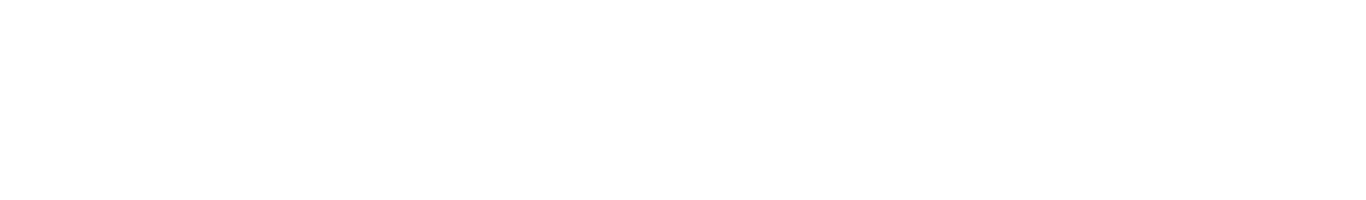 DewFlow Logo